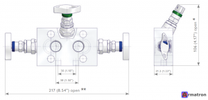 Манифольд трехвентильный C13ST-3WSA0-S4-NNNNN-NNNN Yokogawa Schneider